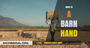 Exploring the Role of a Barn Hand: Duties, Skills, and Insights