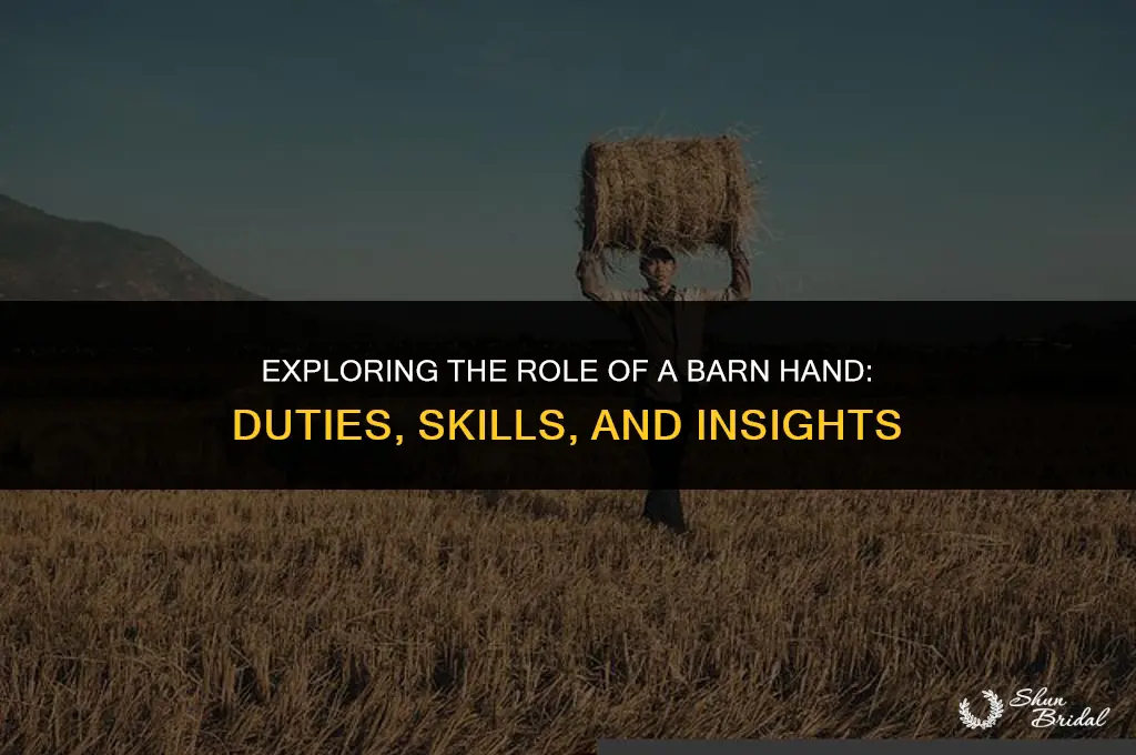 what is a barn hand