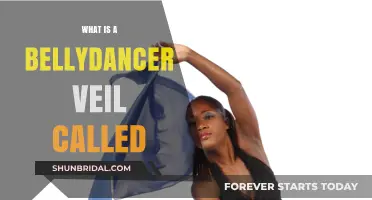 Unveiling the Mystery: What Is a Belly Dancer's Veil Called?