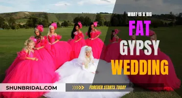 Big Fat Gypsy Wedding": A Glimpse into a Secretive Worl