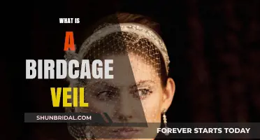 Birdcage Veil: A Vintage Bridal Accessory Explained and Styled
