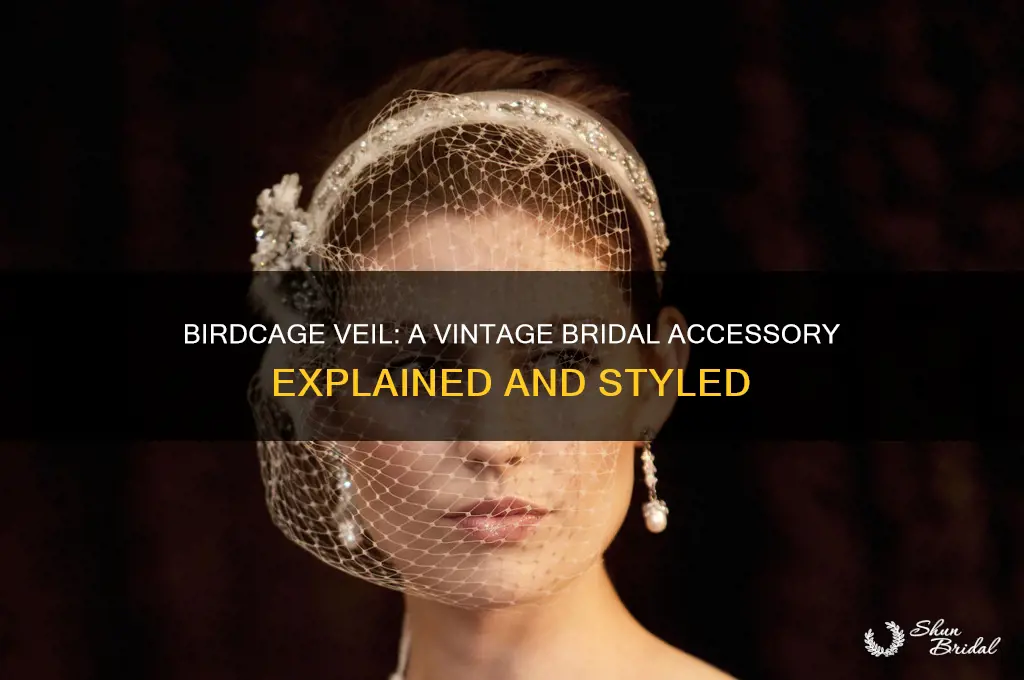 what is a birdcage veil