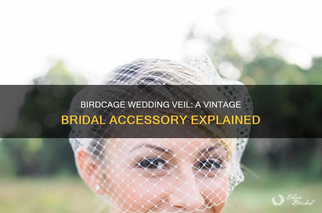 what is a birdcage wedding veil