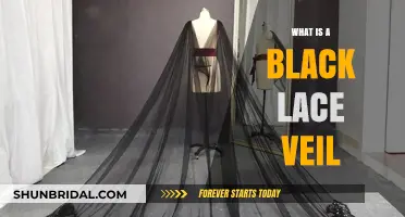 Elegant Black Lace Veil: History, Styles, and Modern Bridal Trends