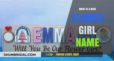 Blue Flower Girl Names: Meaningful and Unique Ideas to Inspire