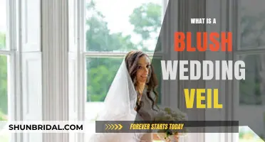 Blush Wedding Veil: A Soft, Romantic Bridal Accessory Explained