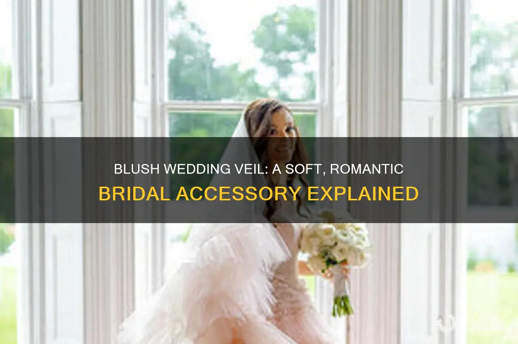 what is a blush wedding veil