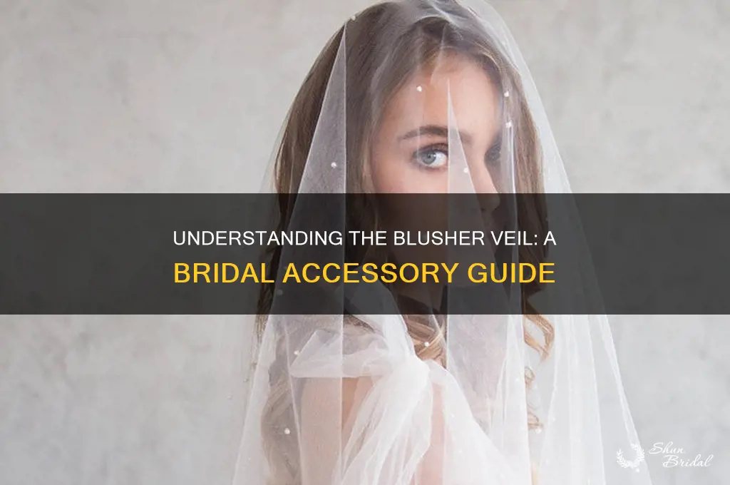 what is a blusher veil