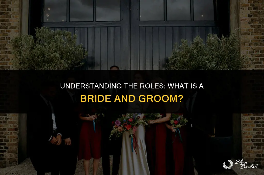 what is a bride groom