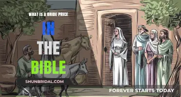 Understanding the Concept of Bride Price in Biblical Times
