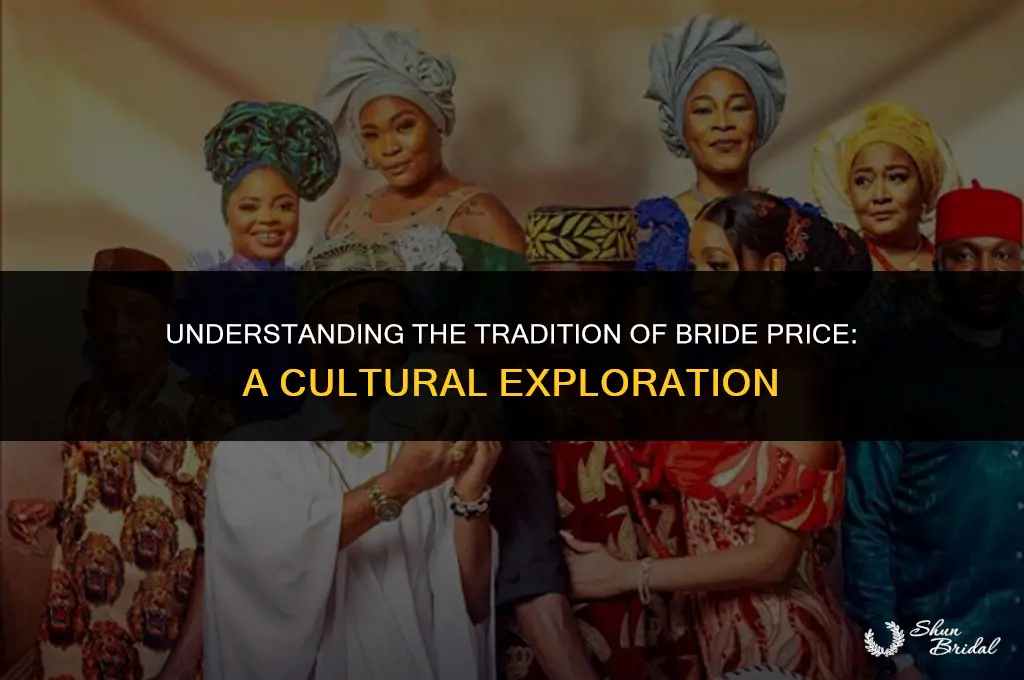 what is a bride price