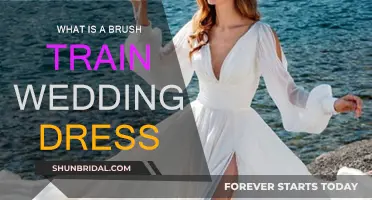 Brush Train Wedding Dresses: All You Need to Know