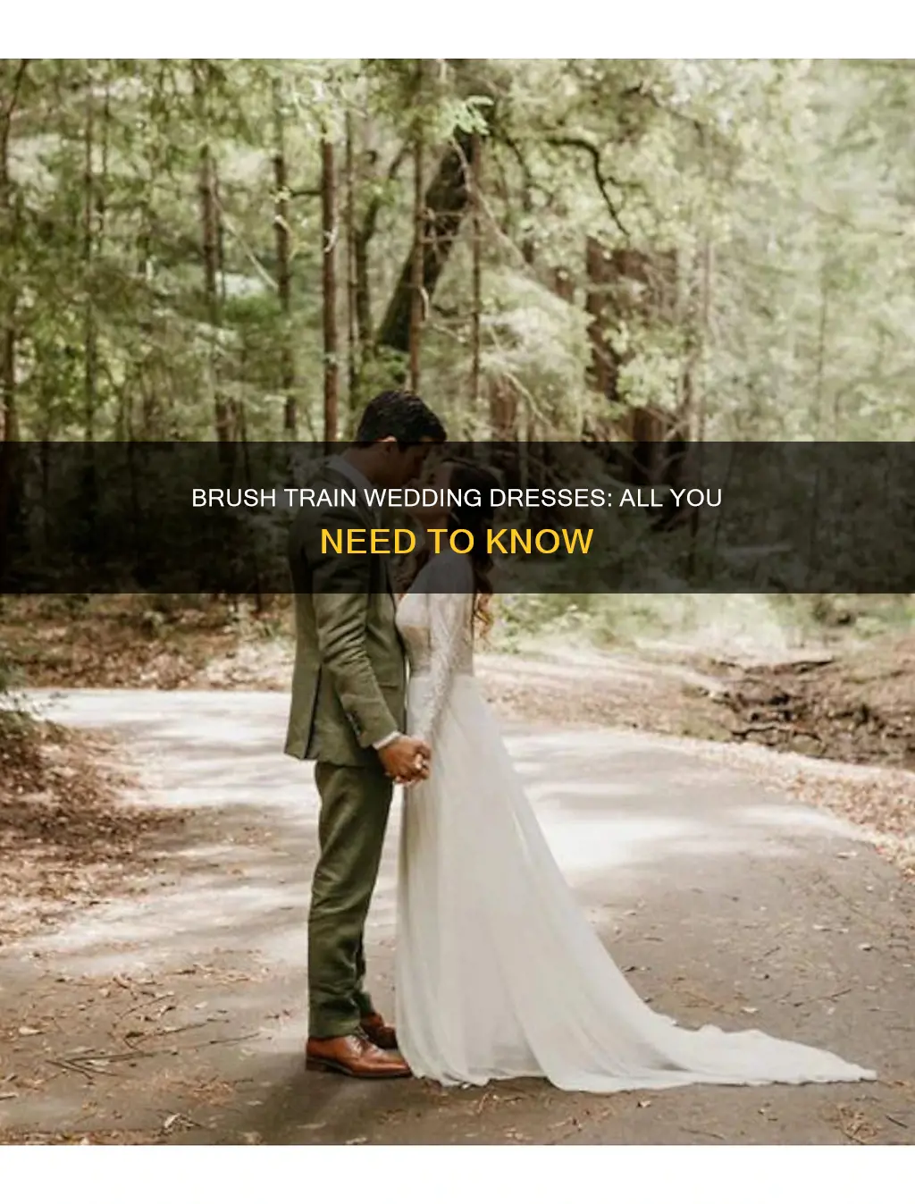 what is a brush train wedding dress