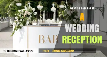 Cash Bars: Wedding Reception Drinks on a Budget