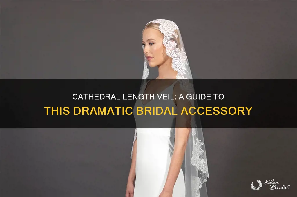 what is a cathedral length veil