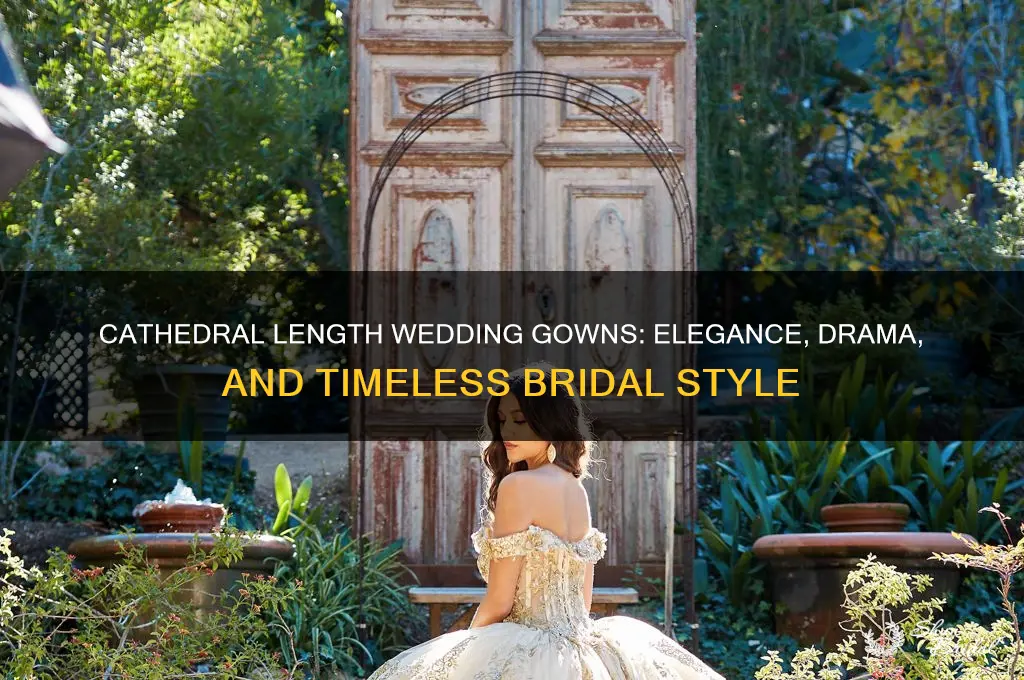 what is a cathedral length wedding gown