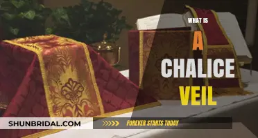 Understanding the Chalice Veil: Purpose, History, and Liturgical Significance