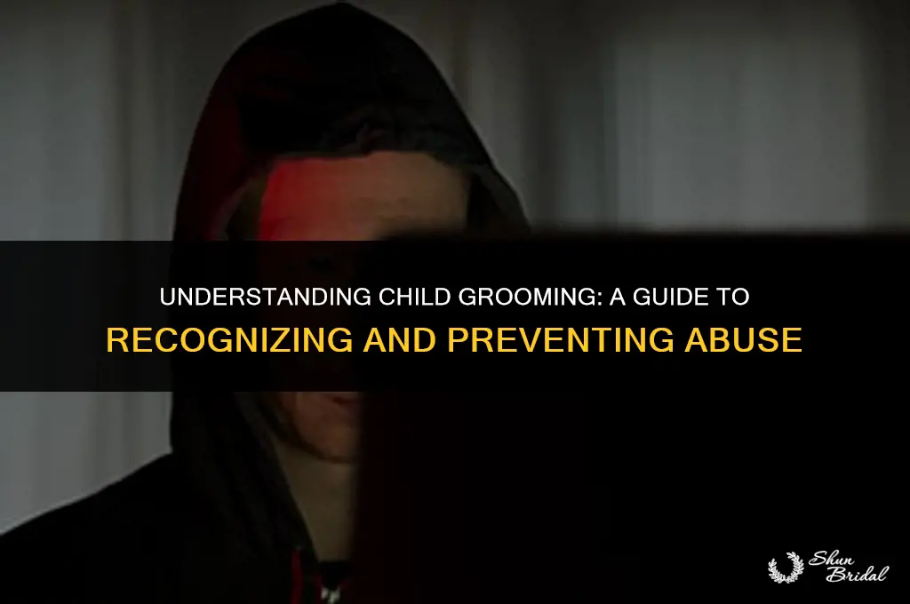 what is a child groomer