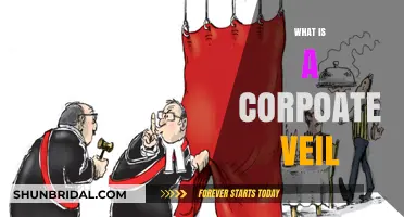 Understanding the Corporate Veil: Protection, Piercing, and Business Liability