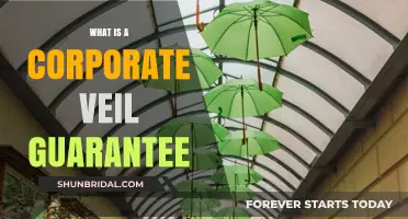 Understanding Corporate Veil Guarantees: Protection, Risks, and Legal Implications