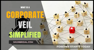 Understanding the Corporate Veil: A Simplified Guide for Business Owners