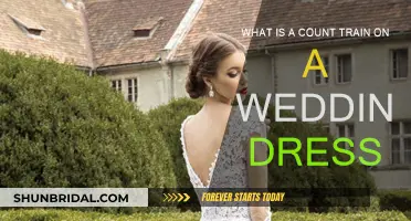 Understanding the Count Train on Your Wedding Dress