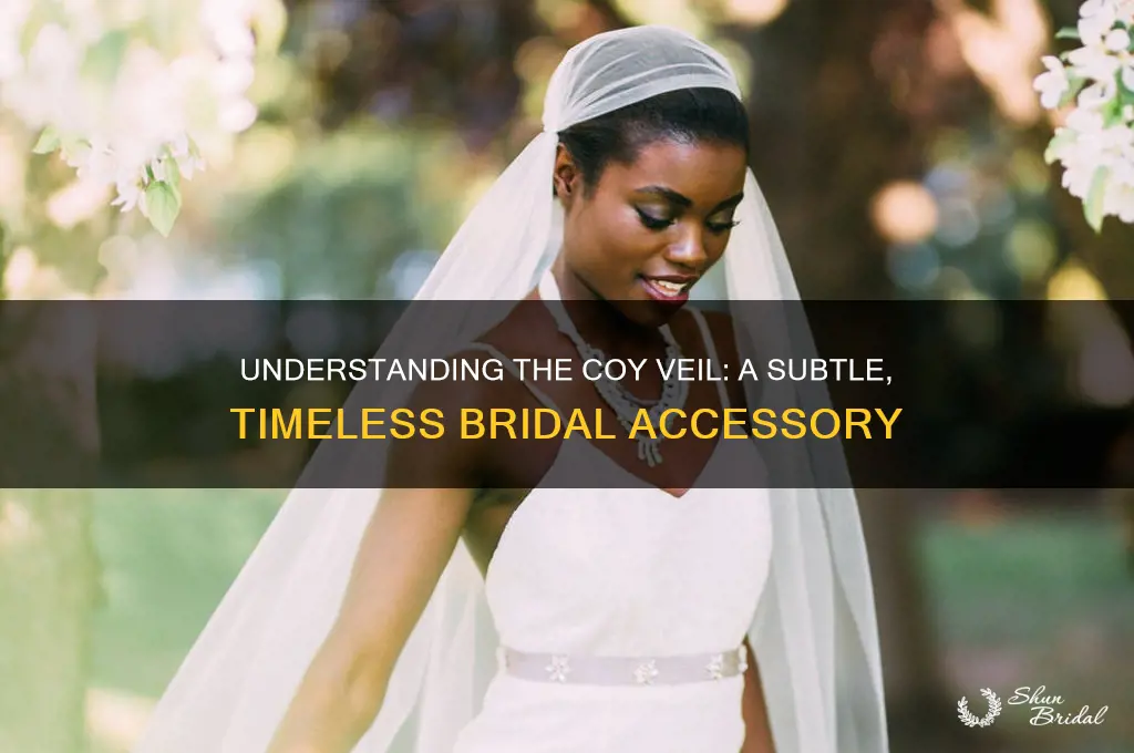what is a coy veil