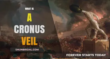 Unveiling the Mystery: Understanding the Cronus Veil and Its Uses