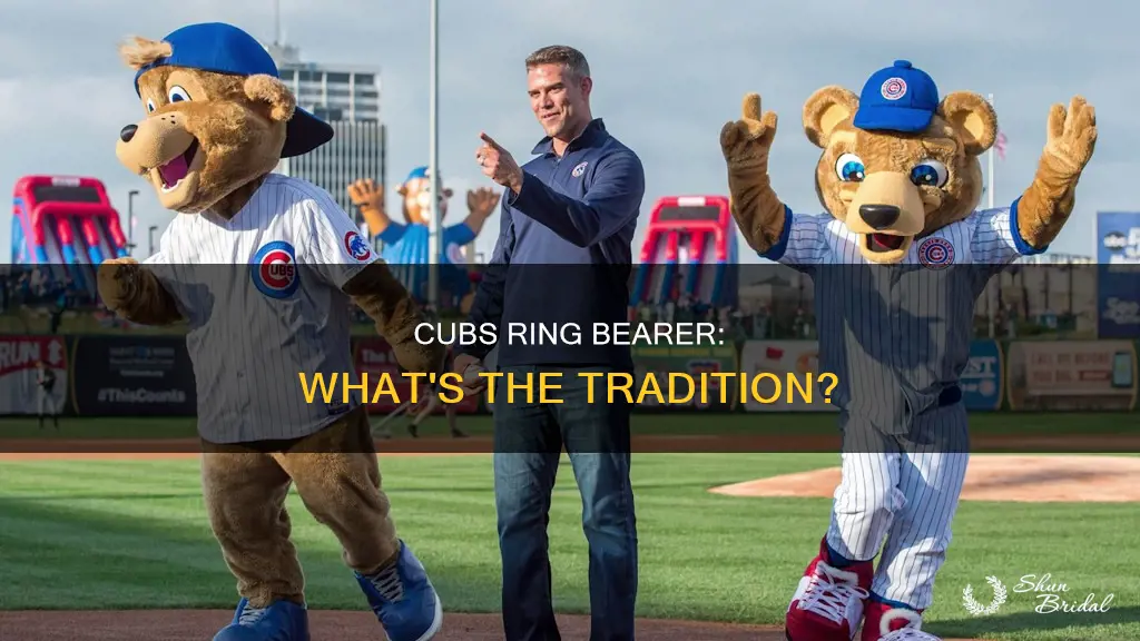 what is a cubs ring bearer