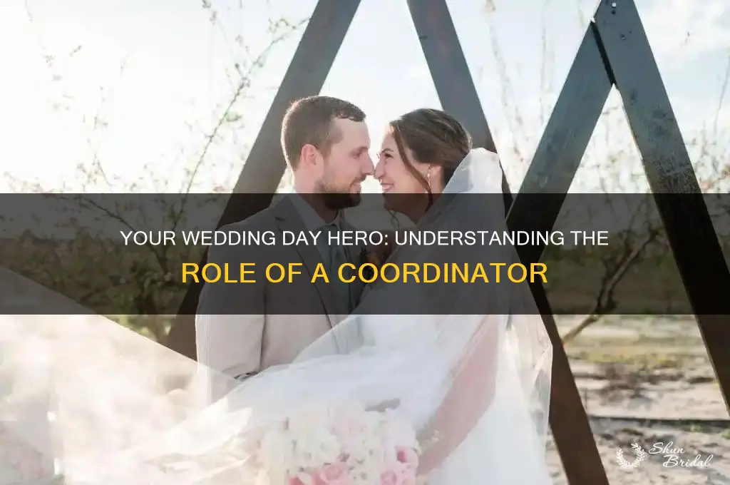 what is a day of wedding cordinator