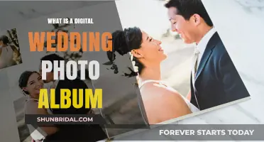 The Evolution of Wedding Photo Albums: Digital Style