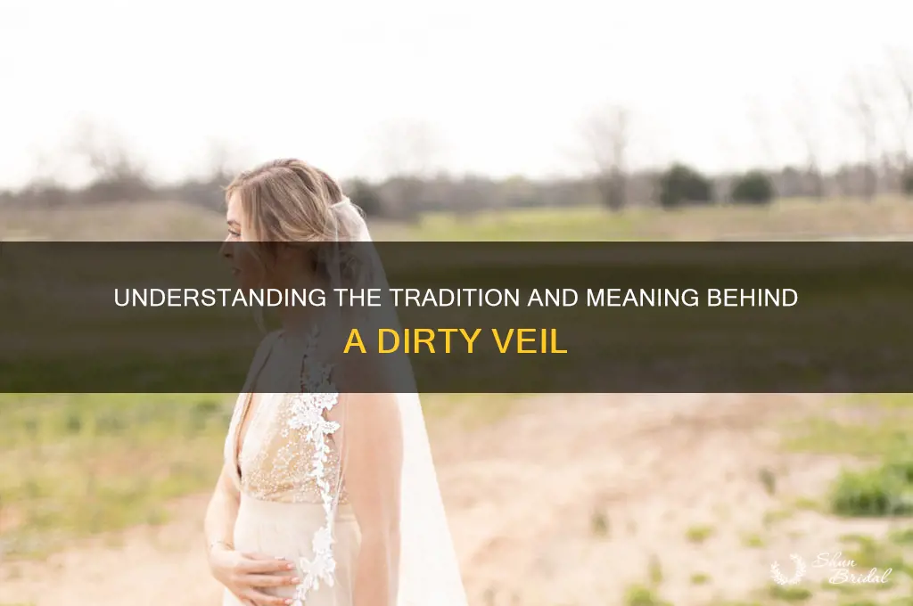 what is a dirty veil