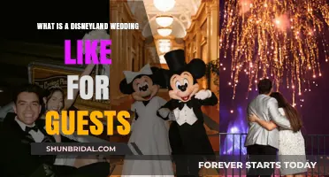 Magical Disneyland Wedding Experience: A Guest's Enchanted Celebration Guide