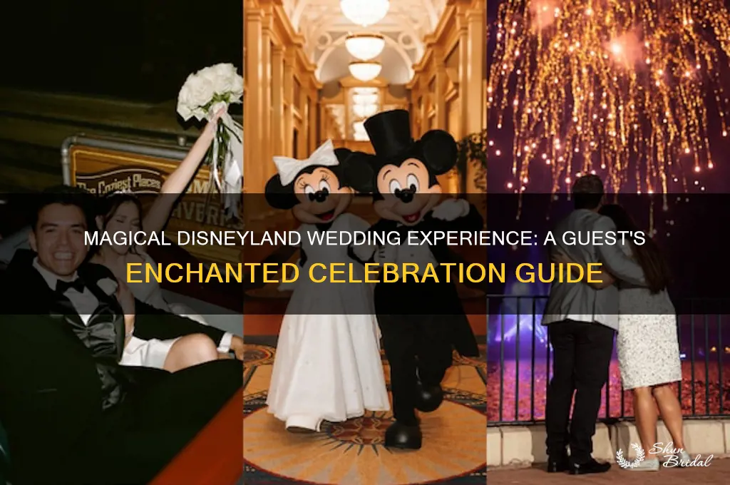 what is a disneyland wedding like for guests