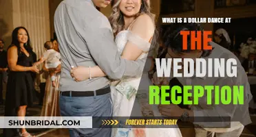 Dollar Dance: Wedding Reception Tradition Explained