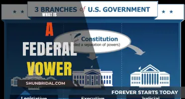 Understanding Federal Vowers: Roles, Responsibilities, and Legal Implications Explained