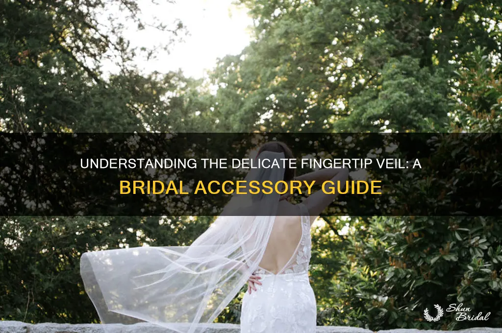 what is a fingertip veil