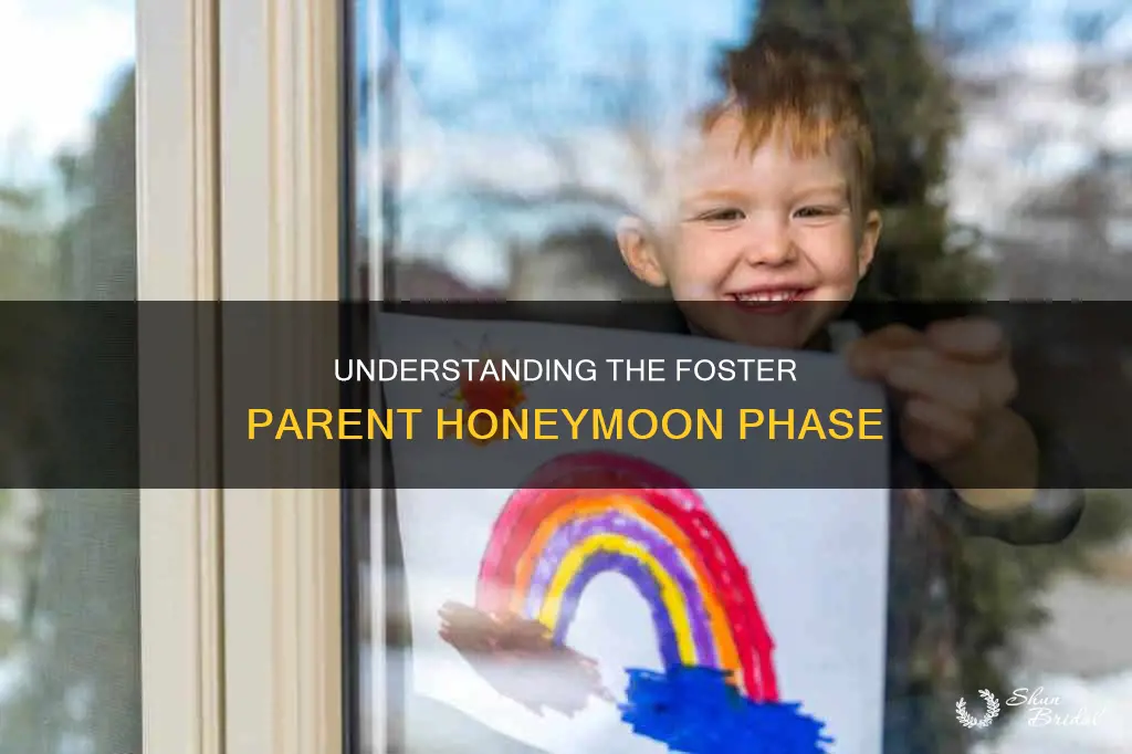 what is a foster parent honeymoon