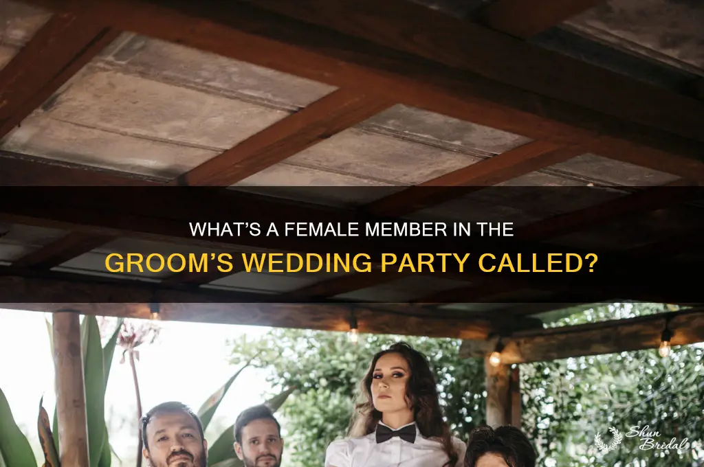 what is a girl in the guys wedding party called