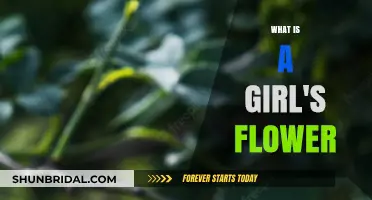 What is a Girl's Flower? Unveiling the Symbolism and Meaning