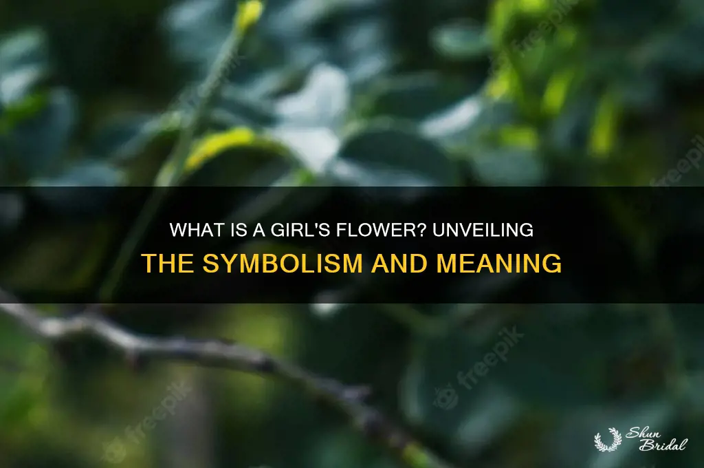 what is a girl