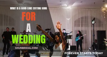 Choosing the Perfect Wedding Cake-Cutting Song