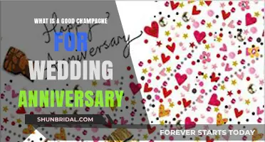 Celebrate Your Wedding Anniversary with These Top Champagne Picks