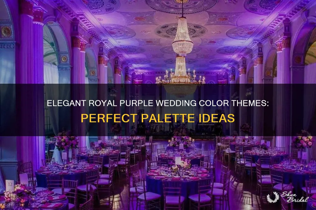 what is a good color theme for royal purple wedding