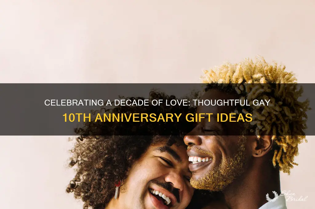 what is a good gay gift for 10th wedding anniversary