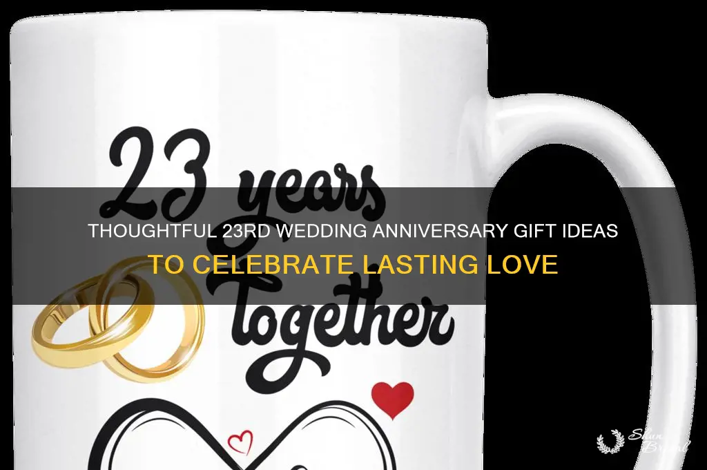 what is a good gift for an23 wedding anniversary