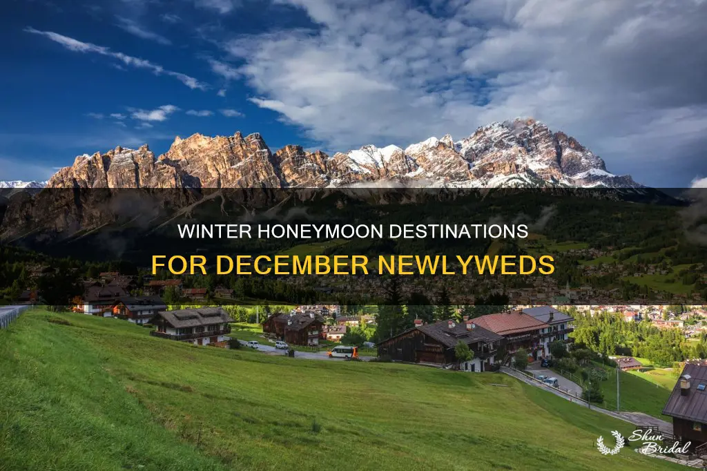 what is a good honeymoon destination in december