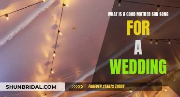 Best Mother-Son Wedding Songs to Celebrate Your Bond
