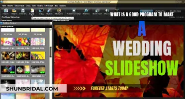 Best Software for Wedding Slideshows