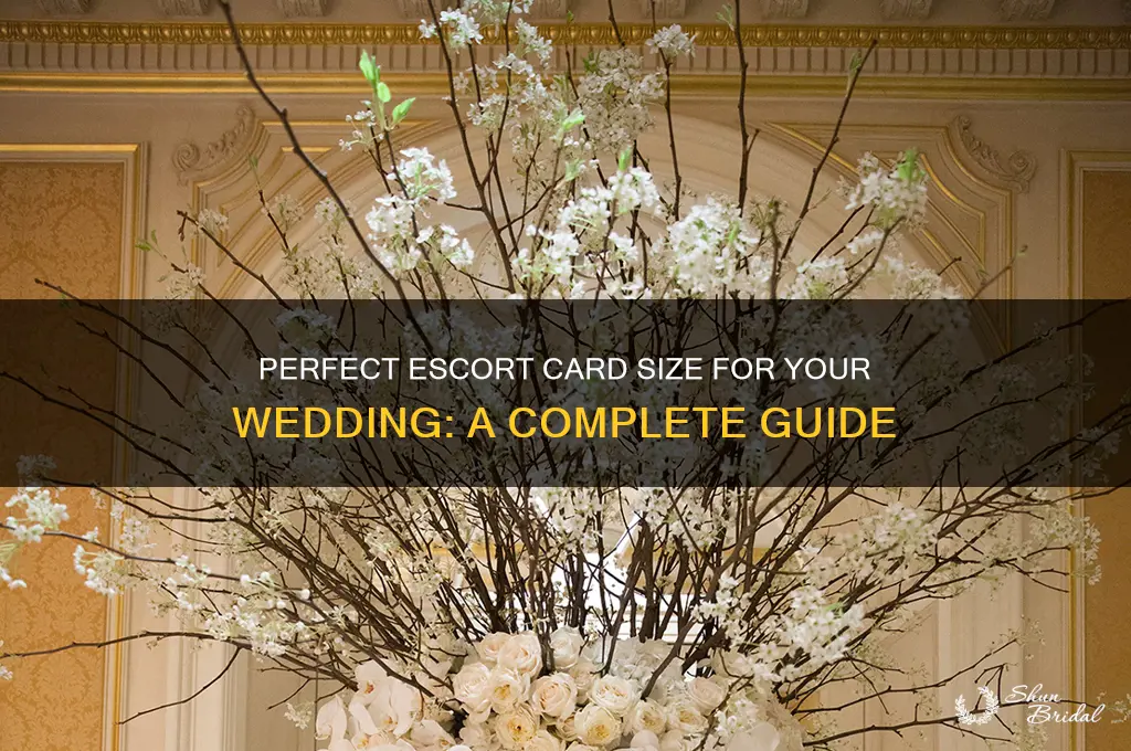 what is a good size for escort cards for wedding